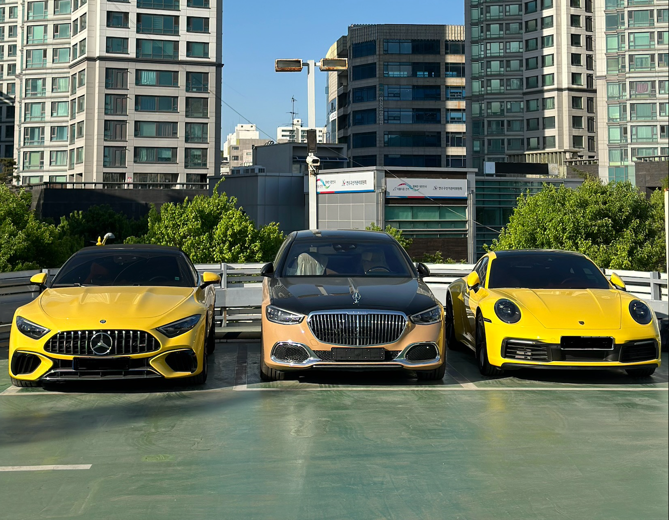 Global Carexporter Korea